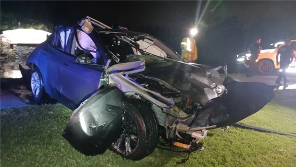 87岁车主身亡!特斯拉Autopilot系统失控:撞上配电箱后沉入池塘