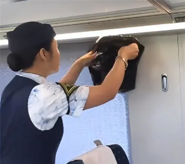高铁行李架上惊现一条蛇!铁路部门回应:系旅客私自夹带
