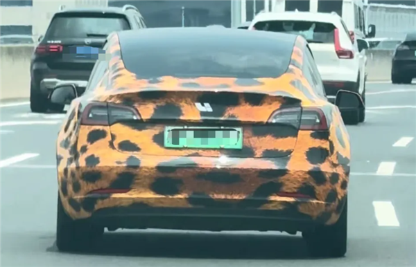 豹纹特斯拉抠标变身理想汽车!交警:私自更改汽车标志涉嫌违法