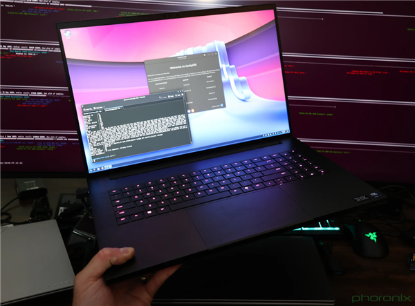 Windows真不差:实测AI性能3.4倍碾压Linux!