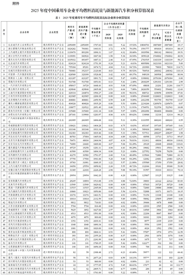 2025乘用车双积分核算结果出炉:比亚迪狂揽千万正积分 48家车企积分“欠债”要大出血