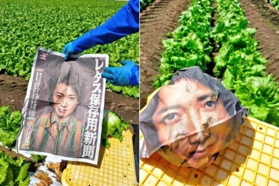 《大逃杀》男主的脸被印到包菜上 希望促进民众食欲
