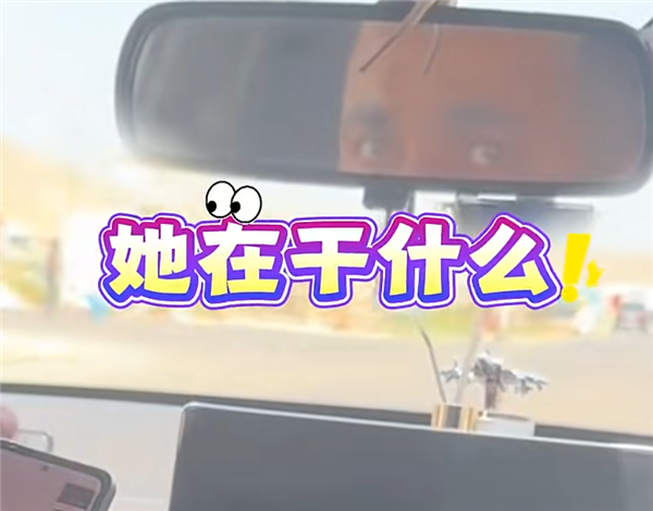 国外打车到打比亚迪 网友用“你好小迪”一秒唤醒!看懵司机