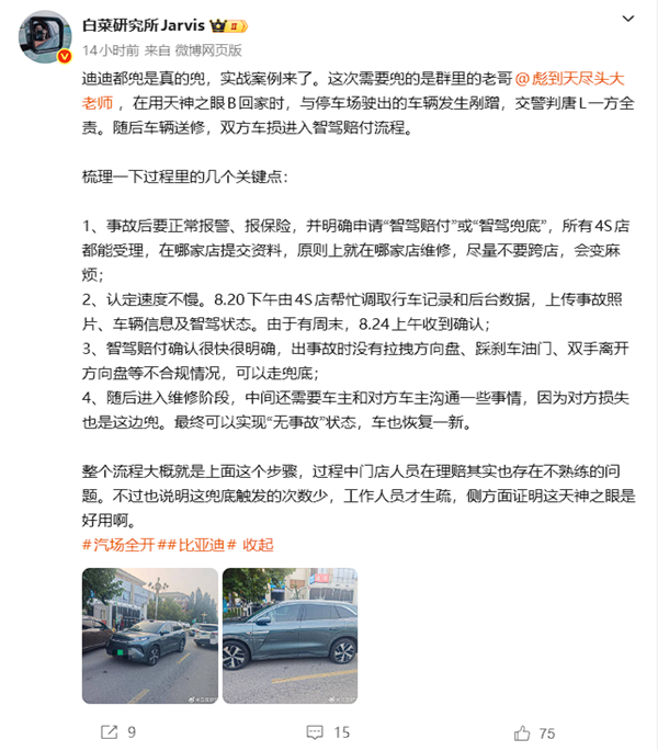 博主分享比亚迪智驾兜底案例:四个关键点车主必学!