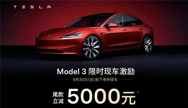 特斯拉“毛坯车” 国产车学不会