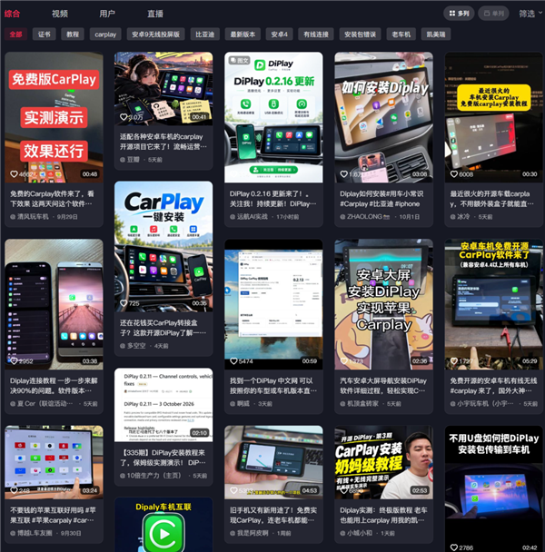 比亚迪也能用Carplay了?这老哥造福了无数新能源车主