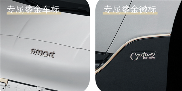 Smart双门版小车回归!精灵#2鎏金高定版中国限量999台秒抢光